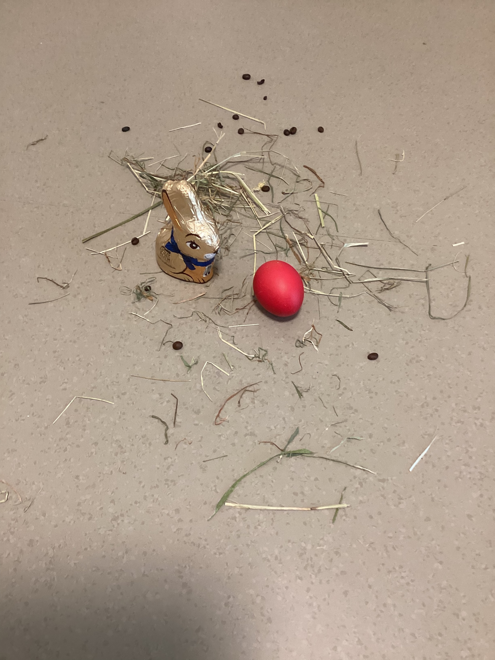 Der Osterhase war da