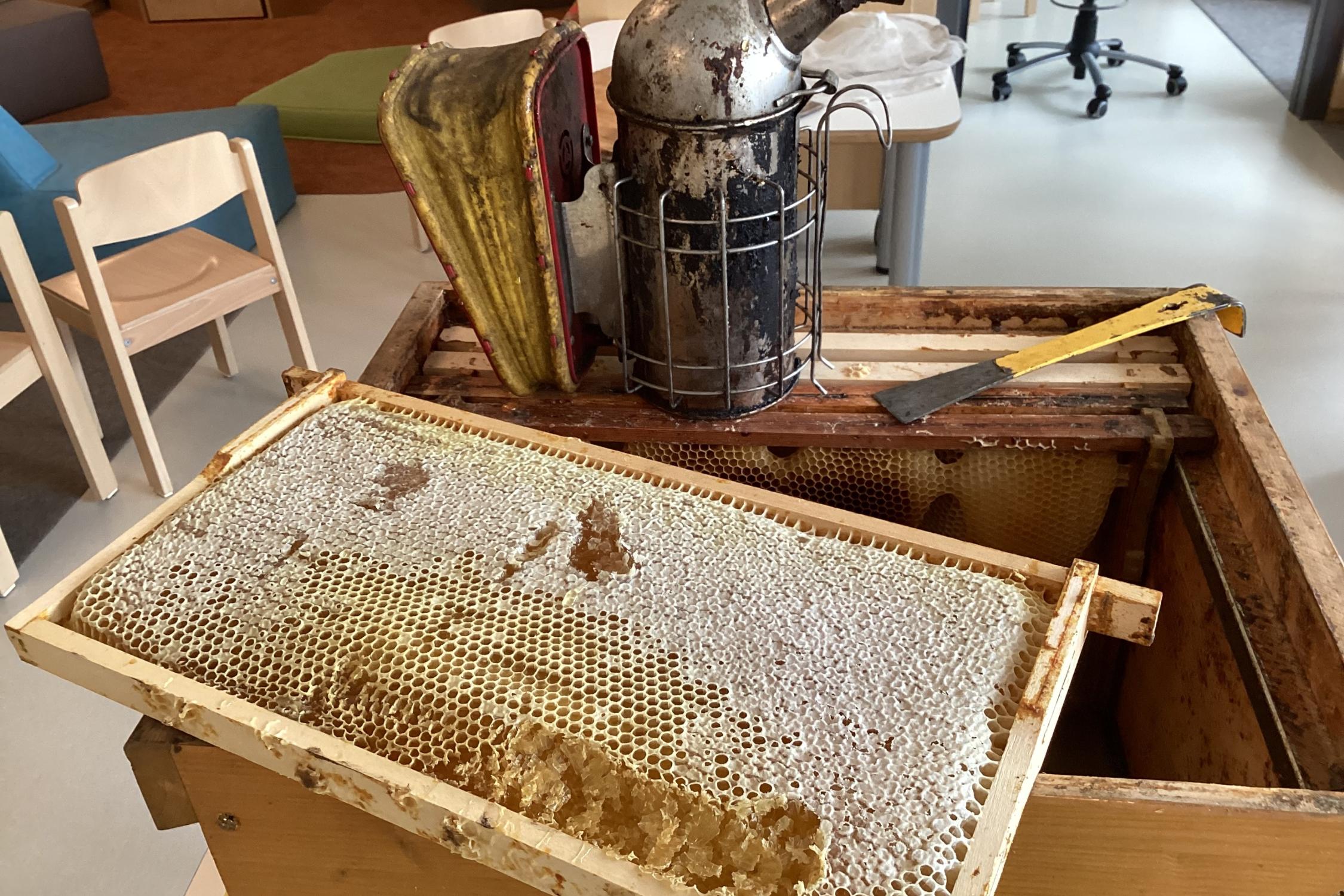 Bienen