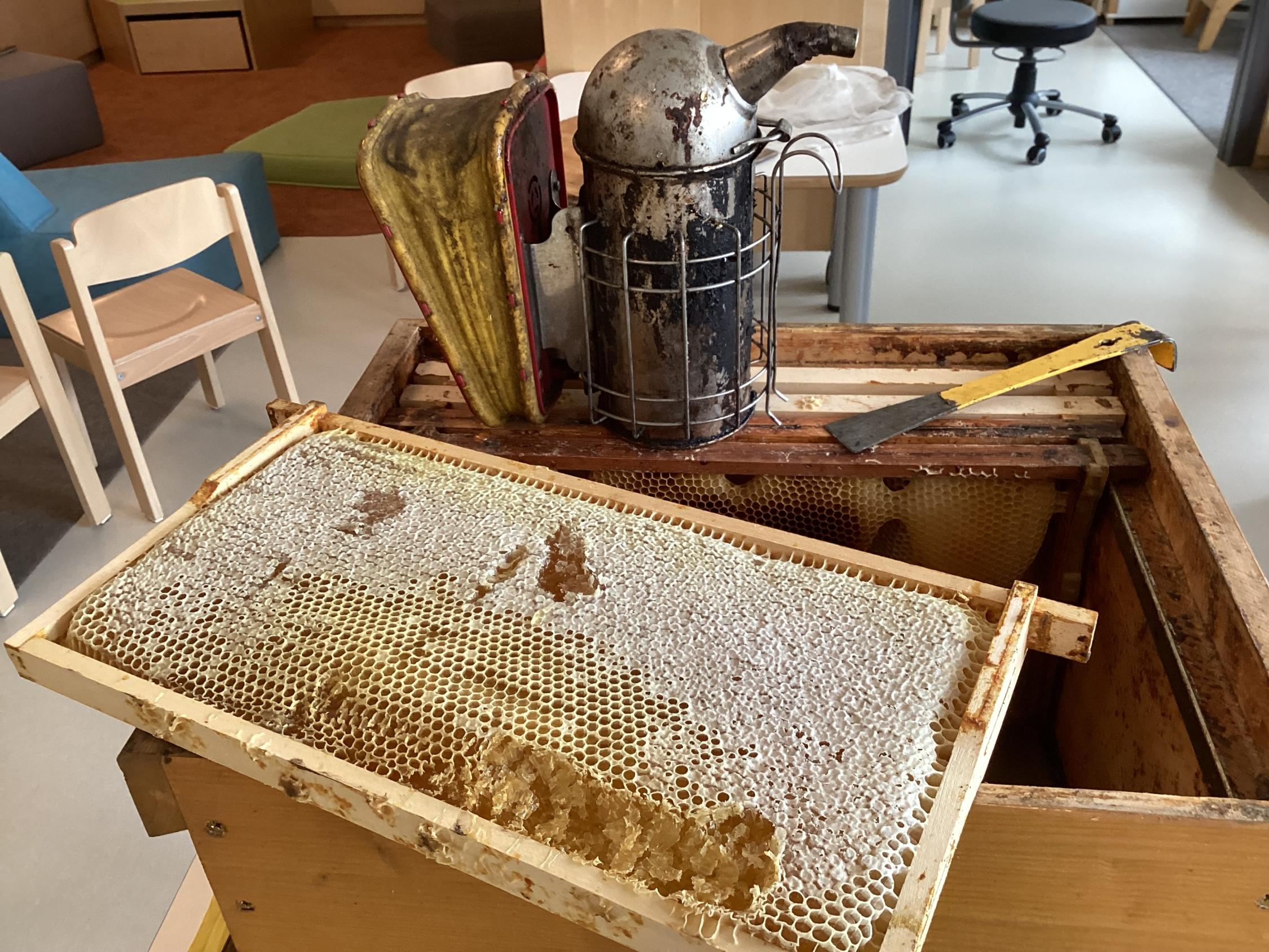 Bienen